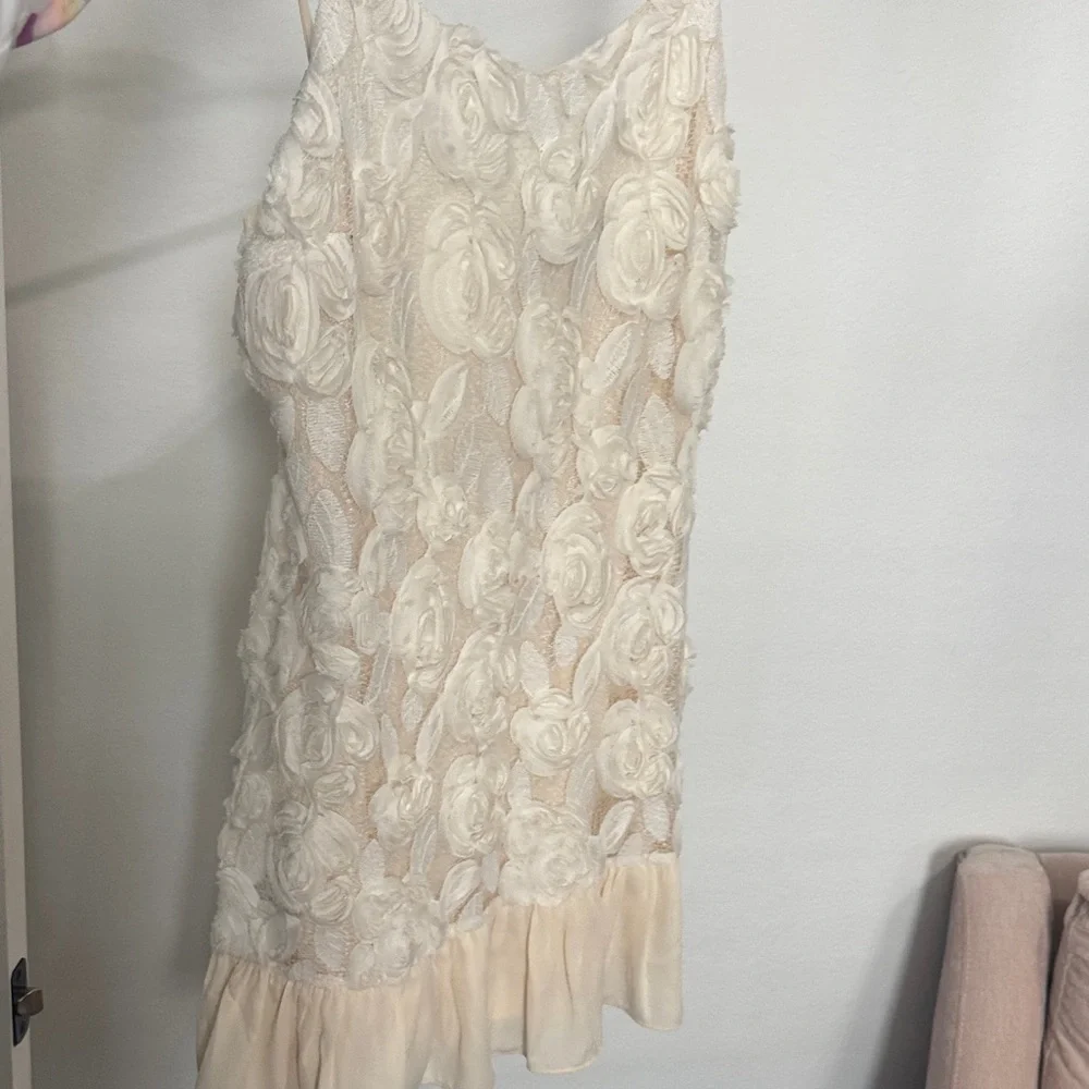 Vici Cream Floral Lace Dress - Picture 3 of 4